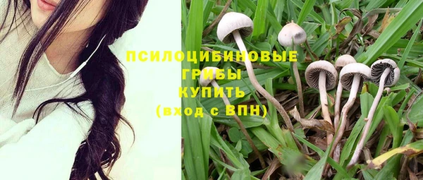 кокаин премиум Гусев