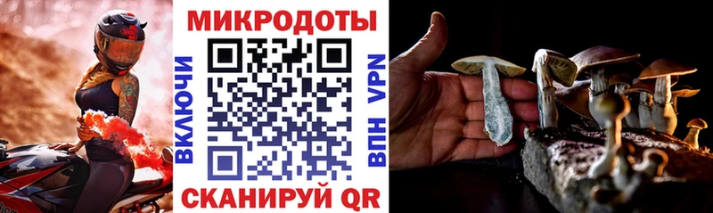 Купить  Чистополь  Псилоцибиновые грибы прущие грибы 